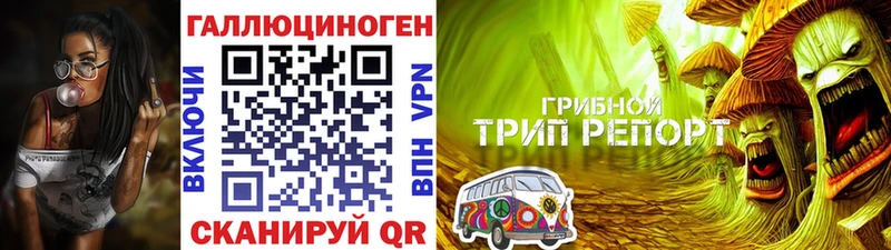 Галлюциногенные грибы Magic Shrooms  МЕГА ссылки  Ржев 