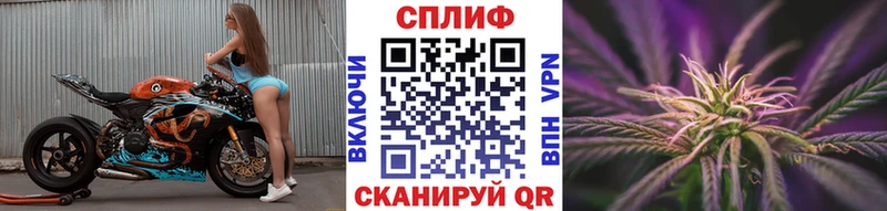 Конопля SATIVA & INDICA  Ржев 